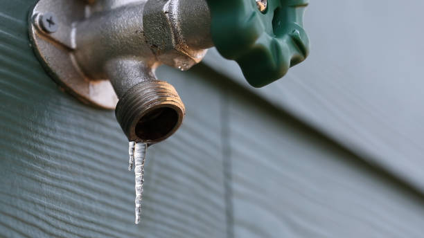 Best Clogged Drain Plumber  in Fern Acres, HI